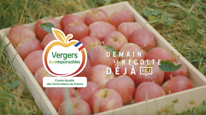 POMMES VERGERS ECORESPONSABLES x SERVICEPLAN